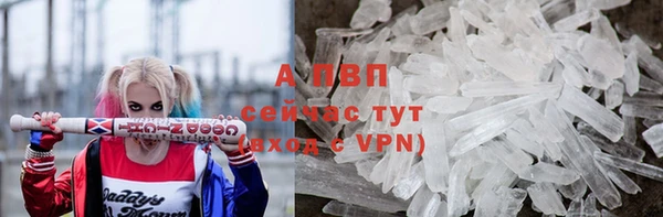 твердый Верея